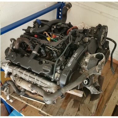 2,0 dyz variklis Citroen